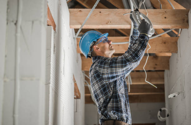 Best Electrician for Home Renovation  in Taylorsville, KY