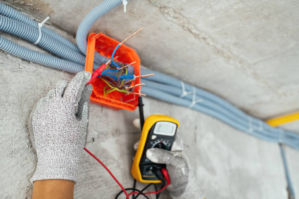 Best Generator Installation Services  in Taylorsville, KY